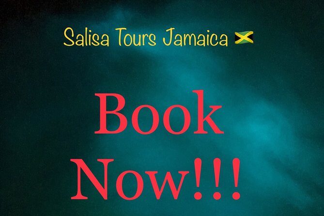 Glisten Waters, Horseback, Blue Hole Transportation Only - An In-Depth Look at the Tour Experience