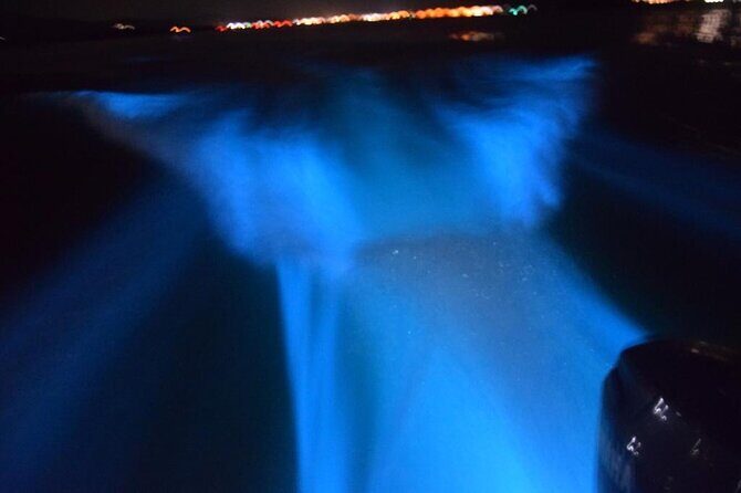 Glow with the Flow: A Romantic Night at the Luminous Lagoon) - Why This Tour Offers Good Value