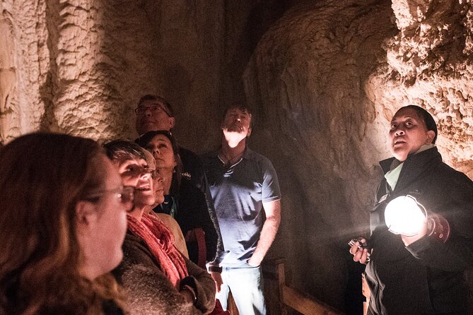 Glow Worm Caves Express Tour in Bay of Islands - Tour Experience and Features