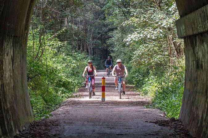 Glow Worm Tunnel Evening Guided Tour - The Sum Up