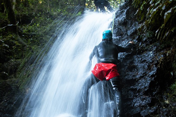 Glowworm Canyoning Adventure - Private Tour From Auckland - Adventure Activities Offered