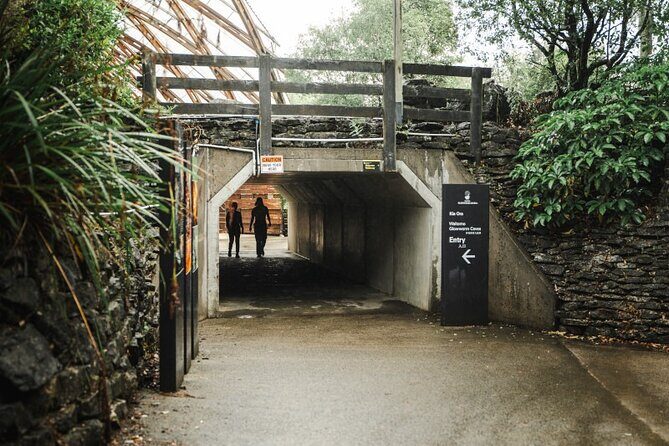 Glowworm Caves & Hamilton Gardens Day Tour from Auckland - Who Will Love This Tour?