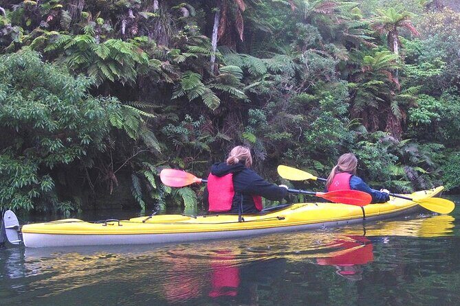 Glowworm Kayak Adventure on the Waikato River - Introduction