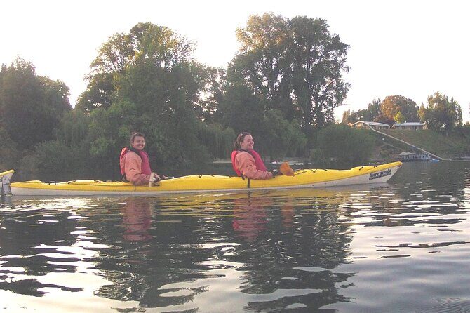 Glowworm Kayak Adventure on the Waikato River - Final Thoughts: Who Should Consider This Tour?