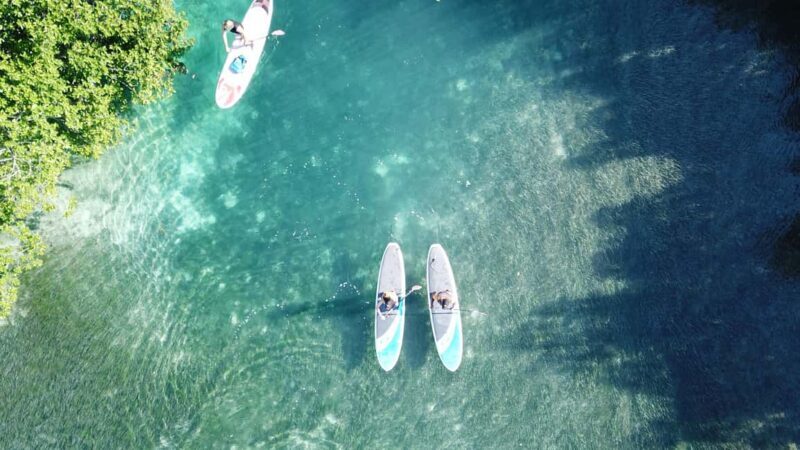 Go City Cancun Explorer Pass: Save up to 50% on Attractions - Who Will Love This?