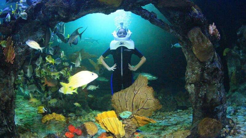 Go City Cancun Pass: Save up to 50% - Includes Chichén Itzá - FAQ