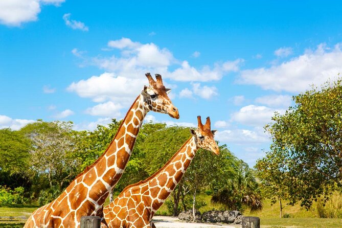 Go City: Miami Explorer Pass - Choose 2, 3, 4 or 5 Attractions - How to Use the Pass