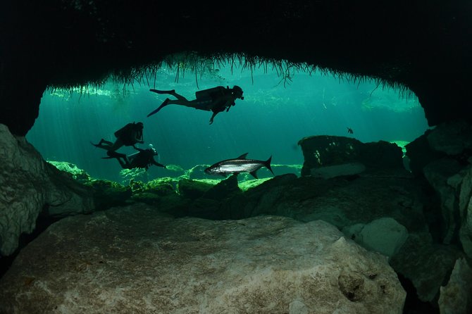 Go Dive Cenotes in Tulum - Health and Safety Requirements
