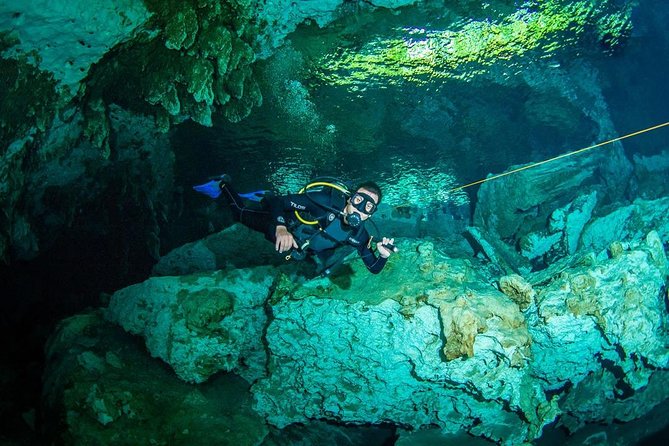 Go for 2 Dives in Cenote Dos Ojos for Certified Divers - Exploring Unique Cenote Features