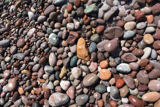 Go Fundy Tours - Traveler Reviews and Feedback