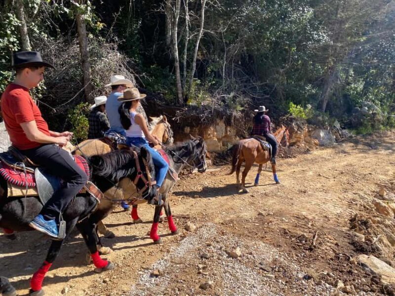Go horseback riding in the forest and visit San Juan Chamula - What Past Travelers Say