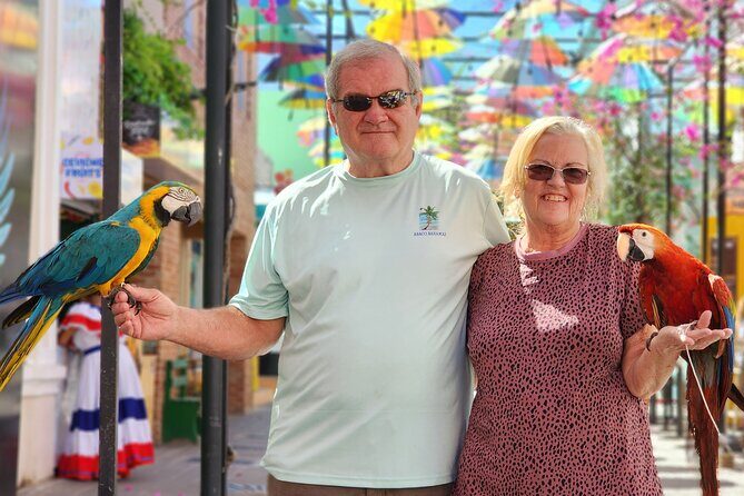 Go Kart and Highlights of Puerto Plata Half Day Tour - The Sum Up