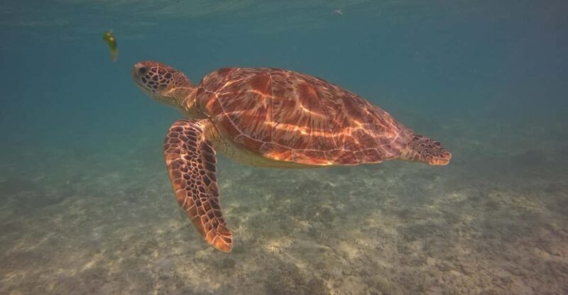 Go Pro Snorkling Trip 3 Islands. - Itinerary Highlights