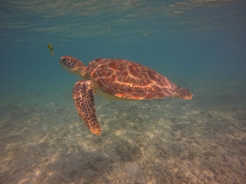 Go Pro Snorkling Trip 3 Islands. - Snorkeling Locations