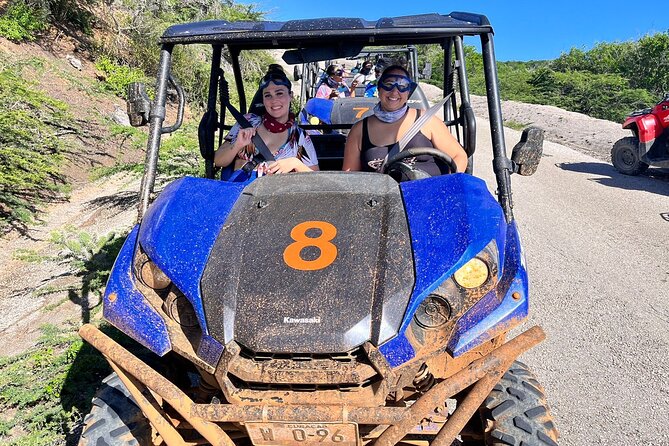 Go West Buggy Adventure - Customer Experiences and Feedback