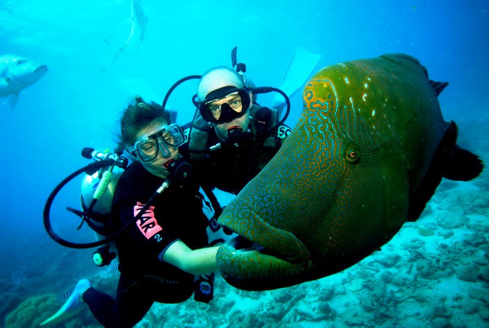 Goa Scuba Diving With Water Sports at Grand Island - Activity Overview and Pricing