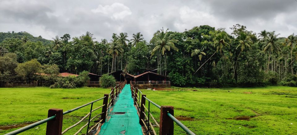Goa: Spice Plantation Tour and Traditional Local Lunch - Detailed Itinerary