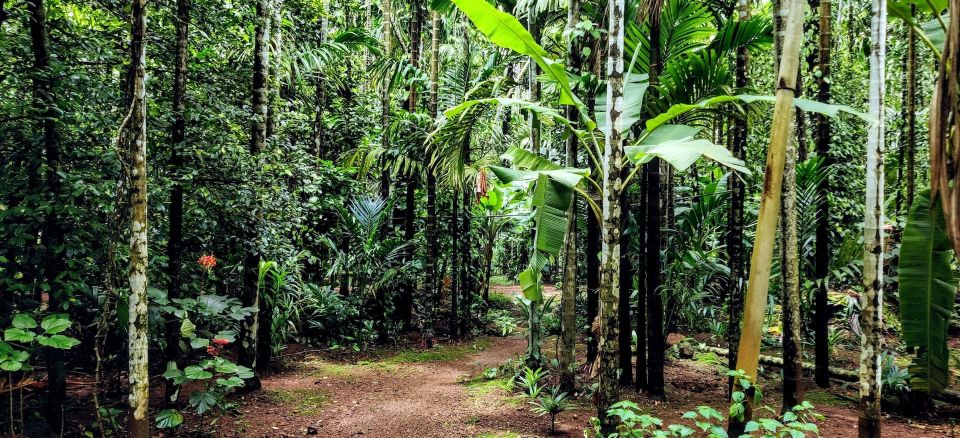 Goa: Spice Plantation Tour and Traditional Local Lunch - Beverage Selection