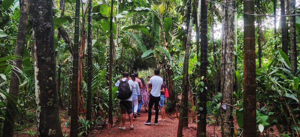 Goa: Spice Plantation Tour and Traditional Local Lunch - Customer Feedback