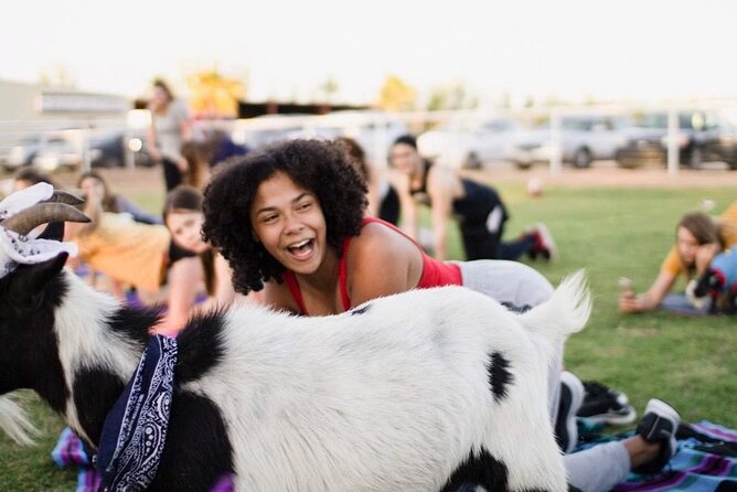 Goat and Alpaca Yoga Gilbert Arizona - Good To Know