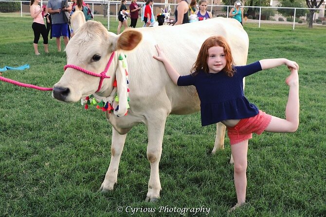 Goat and Alpaca Yoga Gilbert Arizona - Booking Information