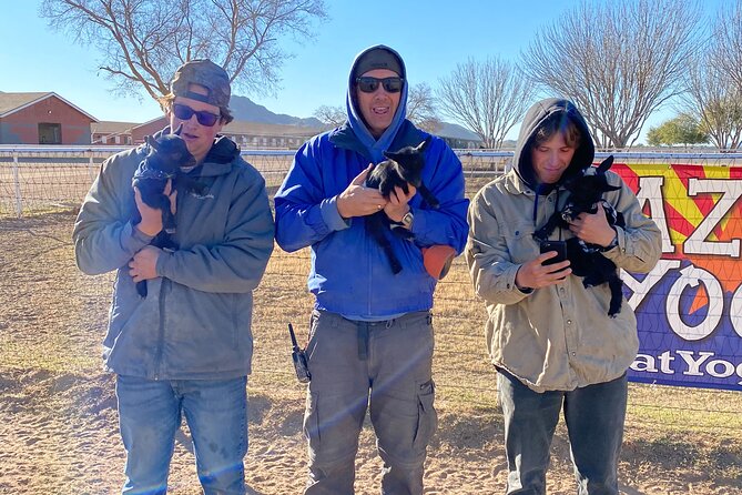 Goat and Alpaca Yoga Gilbert Arizona - Communication Challenges