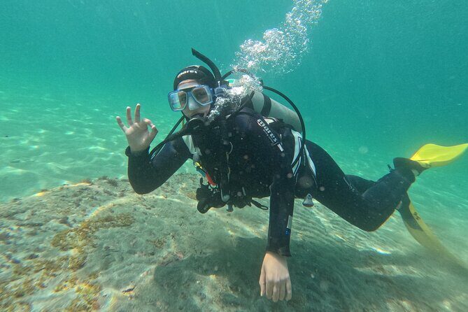 Goat Island Experience Guided Shore Dive - Key Points