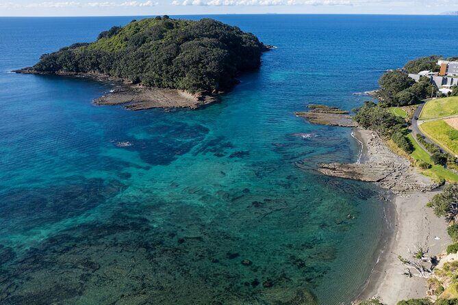 Goat Island Experience Guided Snorkelling for Beginners - Key Points