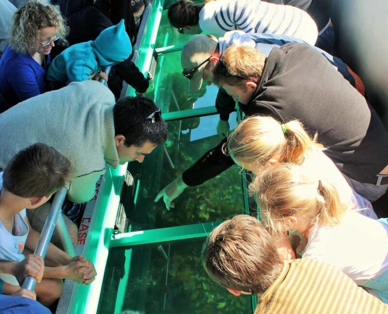 Goat Island: Glass Bottom Boat Tour - What makes this tour stand out?