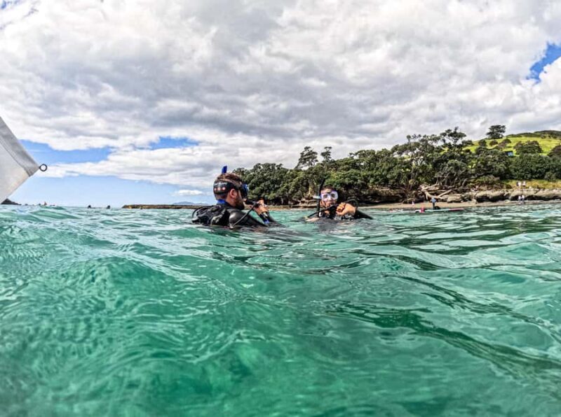 Goat Island Try Scuba Diving Experience - What to Expect from the Goat Island Try Scuba Experience