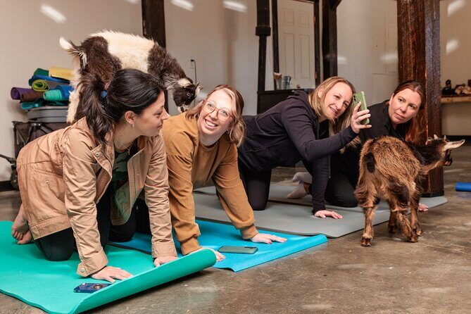 Goat Yoga Experience in Asheville - Frequently Asked Questions
