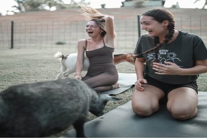 Goat Yoga Group Session - FAQ