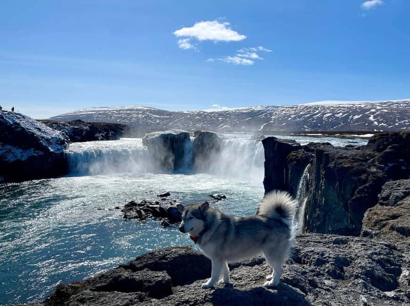 Godafoss, Laufás Museum & Akureyri Highlights Tour - The Highlights of the Tour