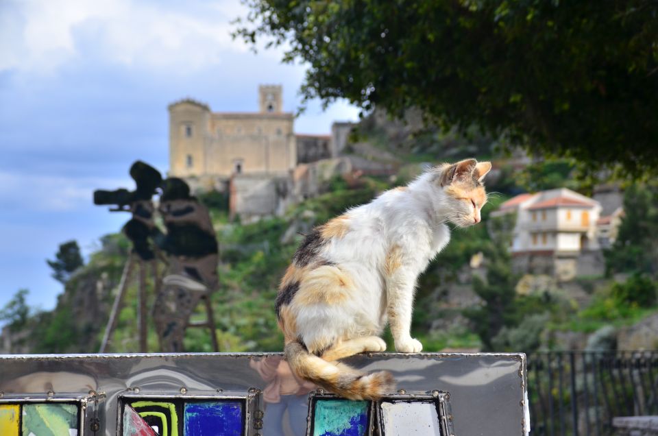 GODFATHER TOUR Films Locations Departure From Taormina Area - Booking and Cancellation Policy