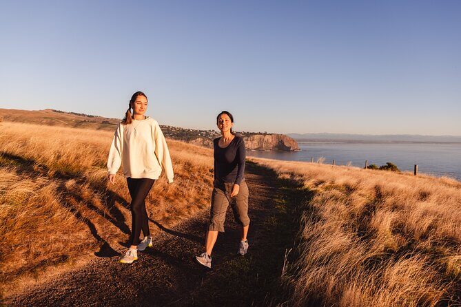 Godley Head Scenic Drive & Guided Walk (Shore Excursion) - What Travelers Say and What You Can Expect