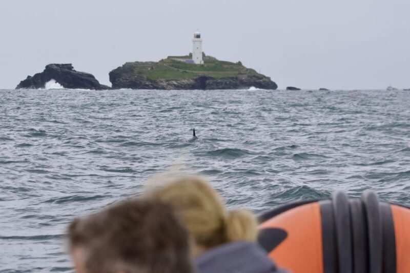 Godrevy to Hell's Mouth Boat Trip - What to Expect on the Trip