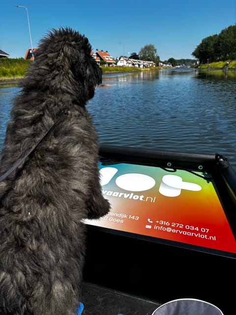 Goes: Self-Guided Electric Boat Rental - Good To Know