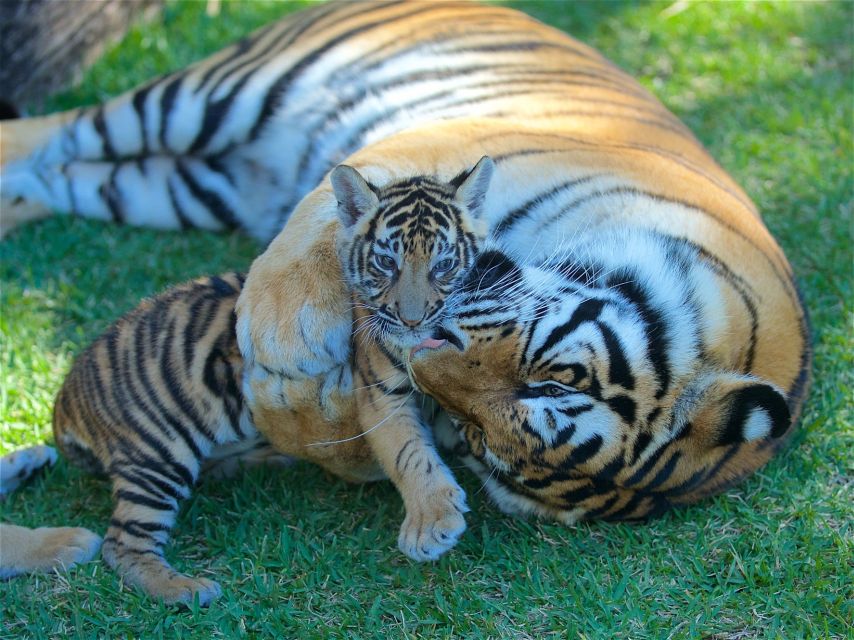 Gold Coast: 2-Day Dreamworld and SkyPoint Entry Ticket - Full Description