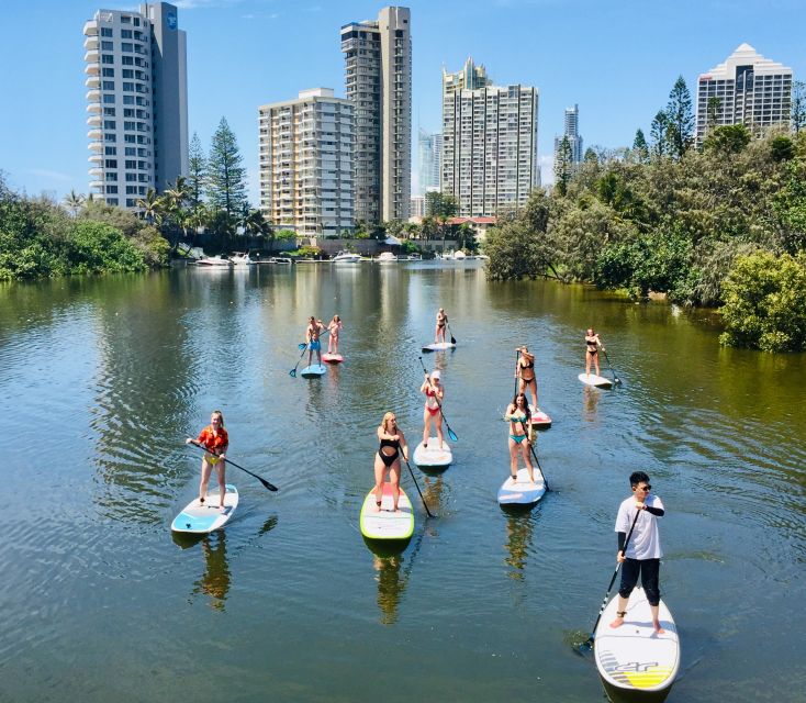 Gold Coast: 2-Hour Standup Paddleboarding Tour & Marine Life - Tour Description