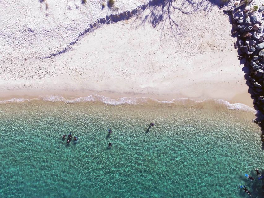 Gold Coast: 3-Day PADI Open Water Course - Eligibility and Restrictions