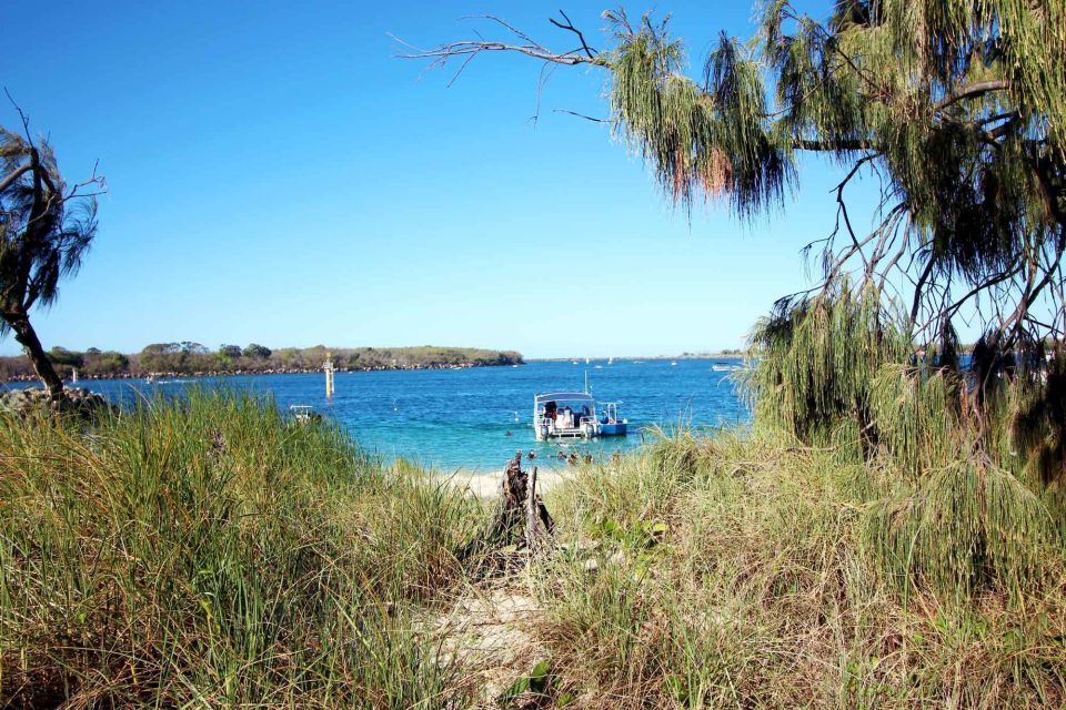 Gold Coast: 3-Day PADI Open Water Course - Course Experience