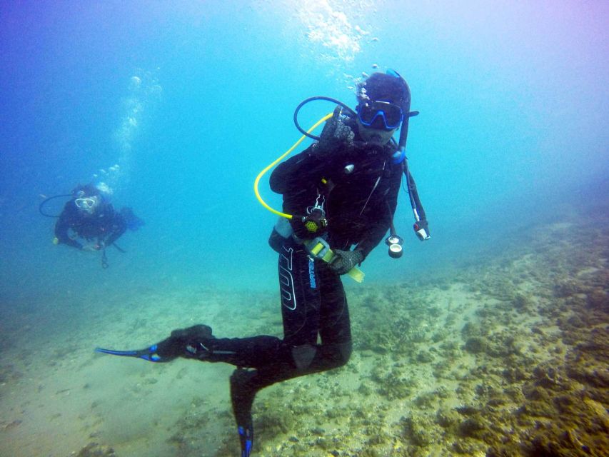 Gold Coast: 3-Day PADI Open Water Course - Frequently Asked Questions