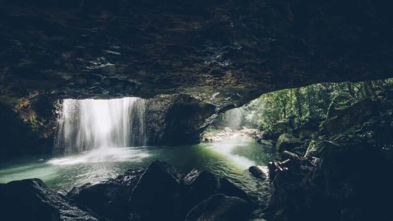 Gold Coast: 6 Waterfalls, Koalas & Natural Bridge Day Tour - An Authentic Day in Queensland’s Wild Places