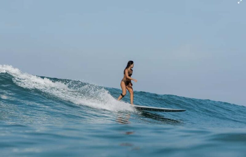 Gold Coast: Adult Group Surf Lesson (16+) - What to Expect from the Surf Lesson