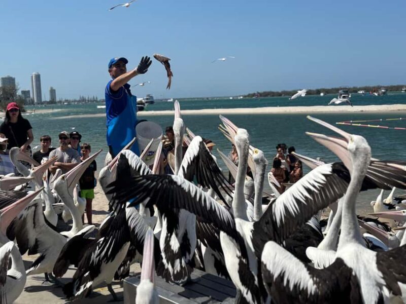 Gold Coast and Craft Brewery VIP Tour from Brisbane - Artistic Inspiration and Beach Relaxation