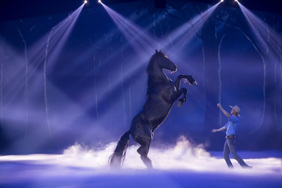 Gold Coast: Australian Outback Spectacular Dinner & Show - Key Points
