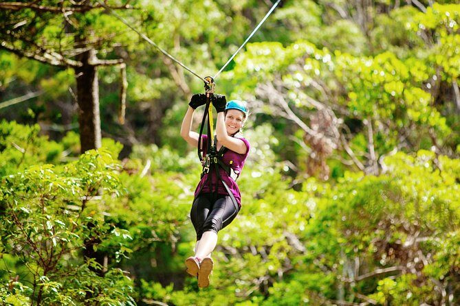 Gold Coast Canyon Flyer Zipline Tour - Discovering the Gold Coast Canyon Flyer Zipline Tour