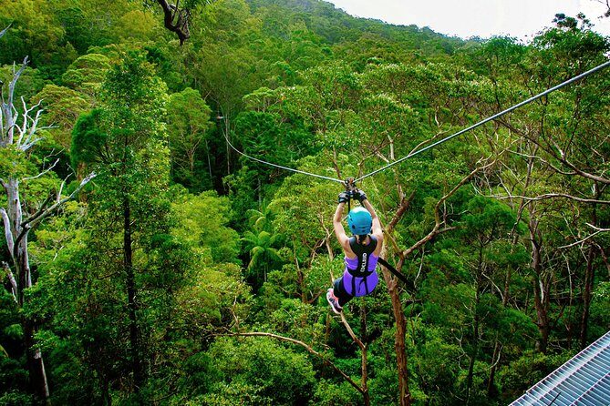 Gold Coast Canyon Flyer Zipline Tour - Value and Practical Considerations