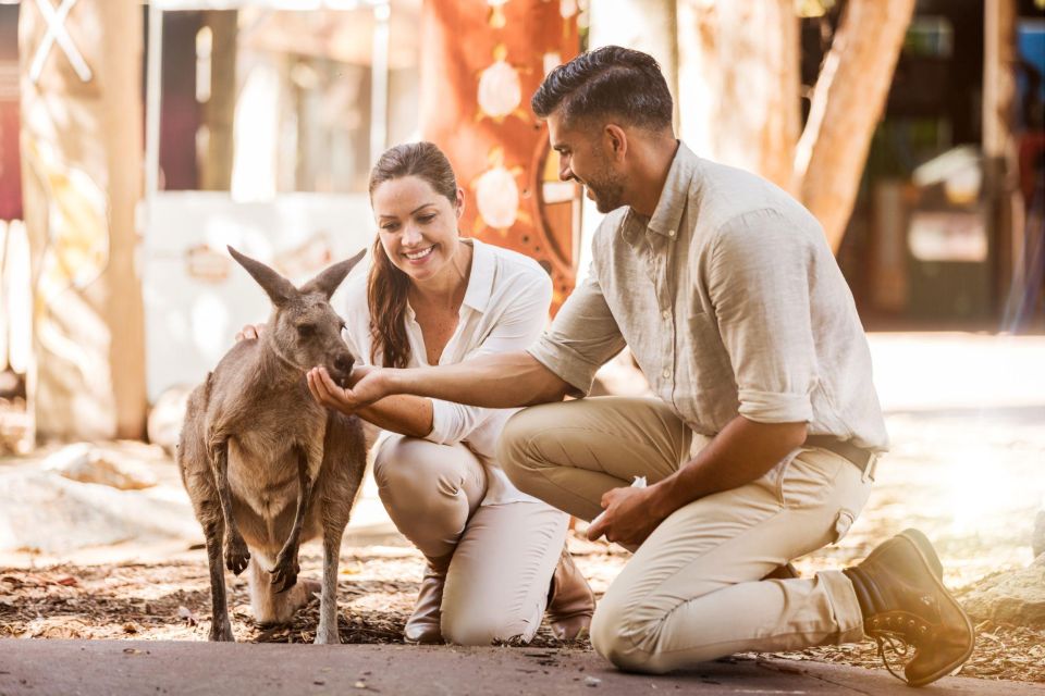 Gold Coast: Dreamworld 1-Day Entry Ticket - Inclusions