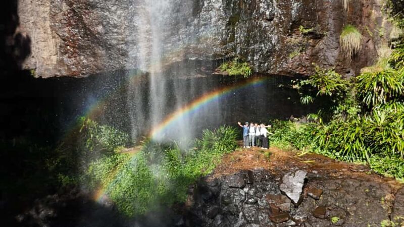 Gold Coast: Glow Worms Day/Night Rainforest & Waterfall Walk - FAQs